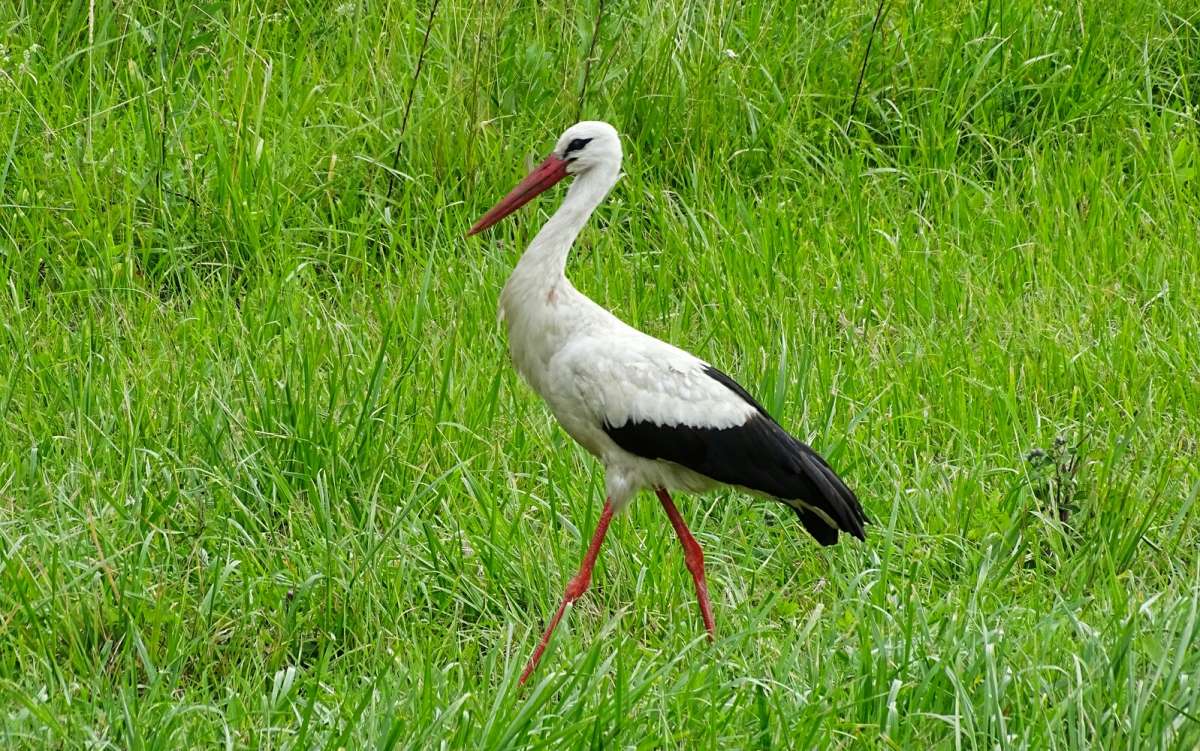 �� ����� ������. ����� �������� �������� �� PhotoGeek.ru #�������� ���