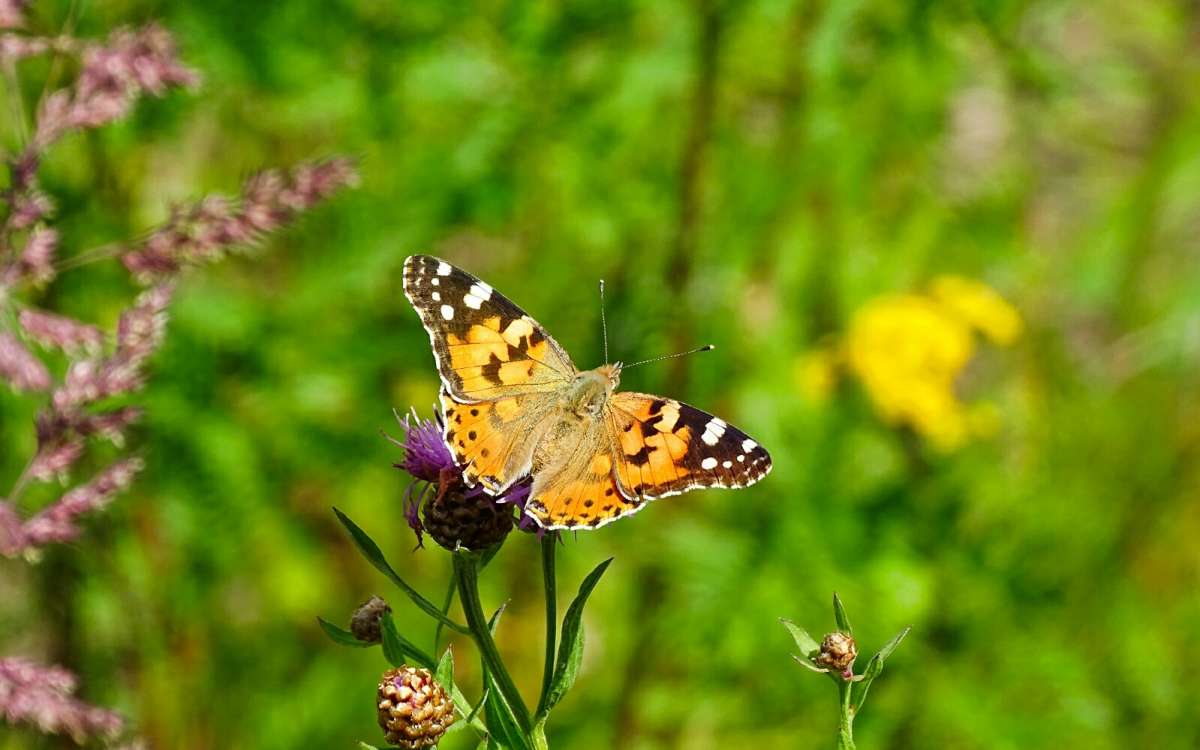 � ��������. ����� �������� �������� �� PhotoGeek.ru #������ ��� �������