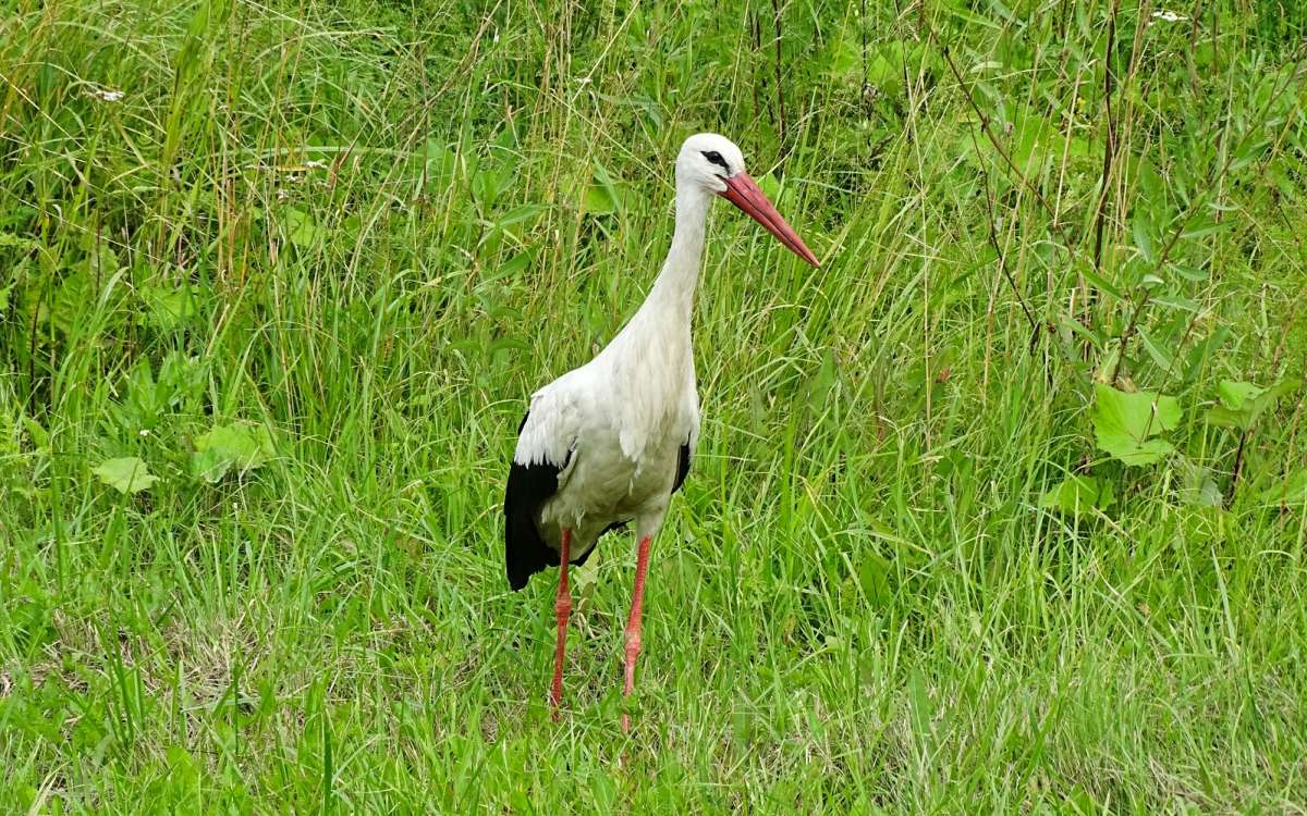 �� �������� ���� �� �����. ����� �������� �������� �� PhotoGeek.ru #�������� ���