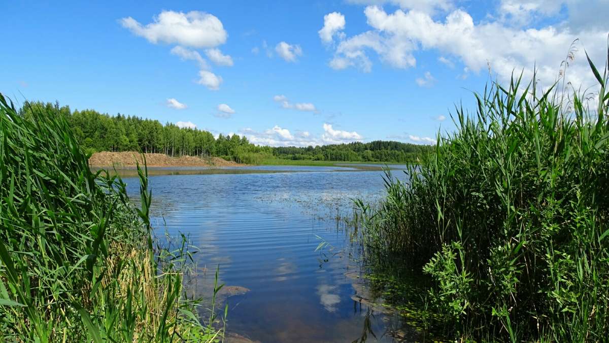 ��� ����. ����� �������� �������� �� PhotoGeek.ru #������ ��� �������