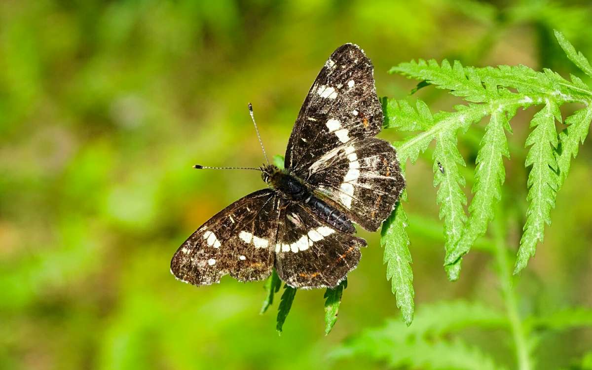 � ��������. ����� �������� �������� �� PhotoGeek.ru #������ ��� �������