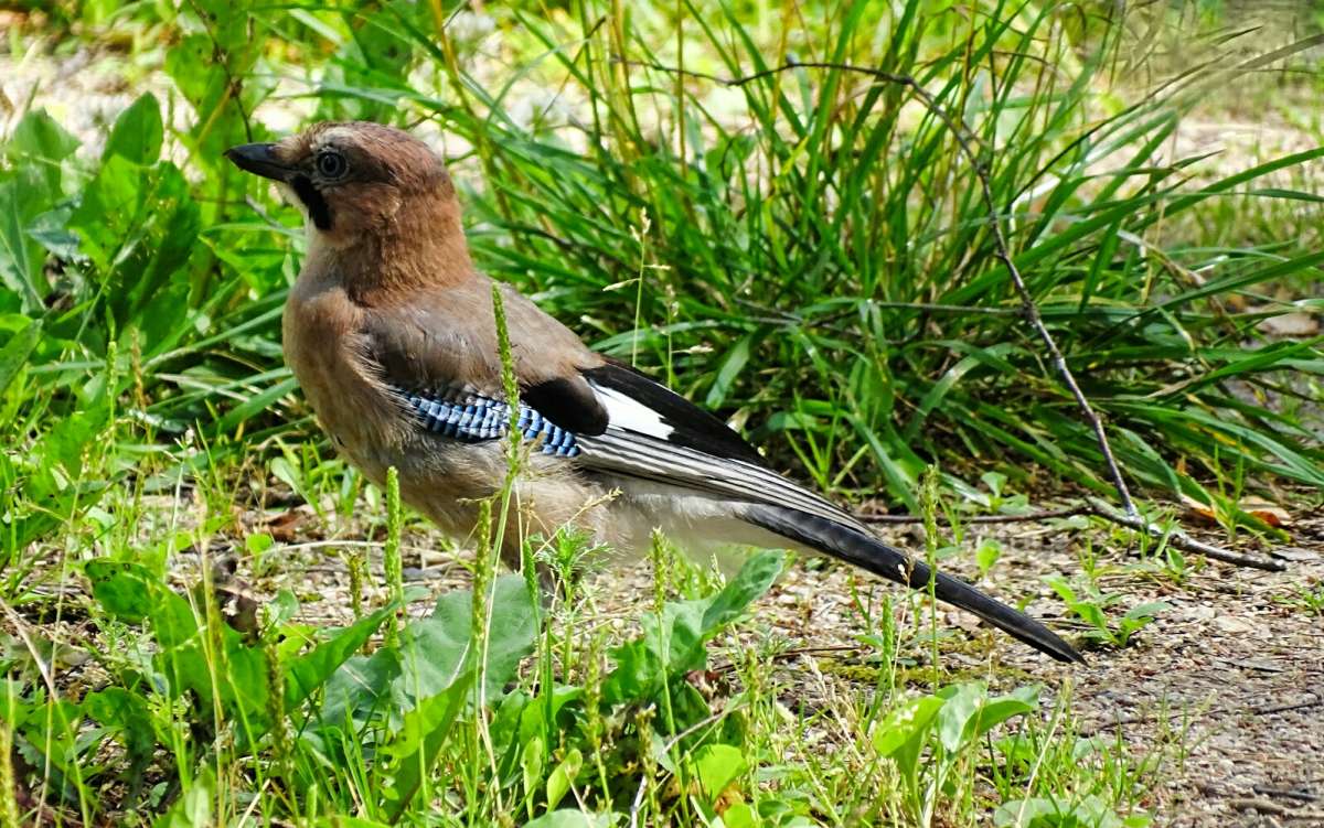 ����� � ������ ����. ����� �������� �������� �� PhotoGeek.ru #�������� ���