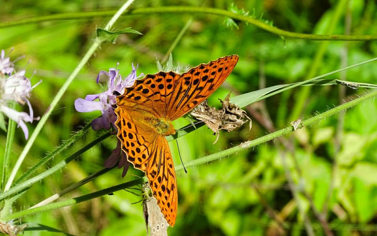 ������� �������������. ����� �������� �������� �� PhotoGeek.ru #����� #������ ��� �������