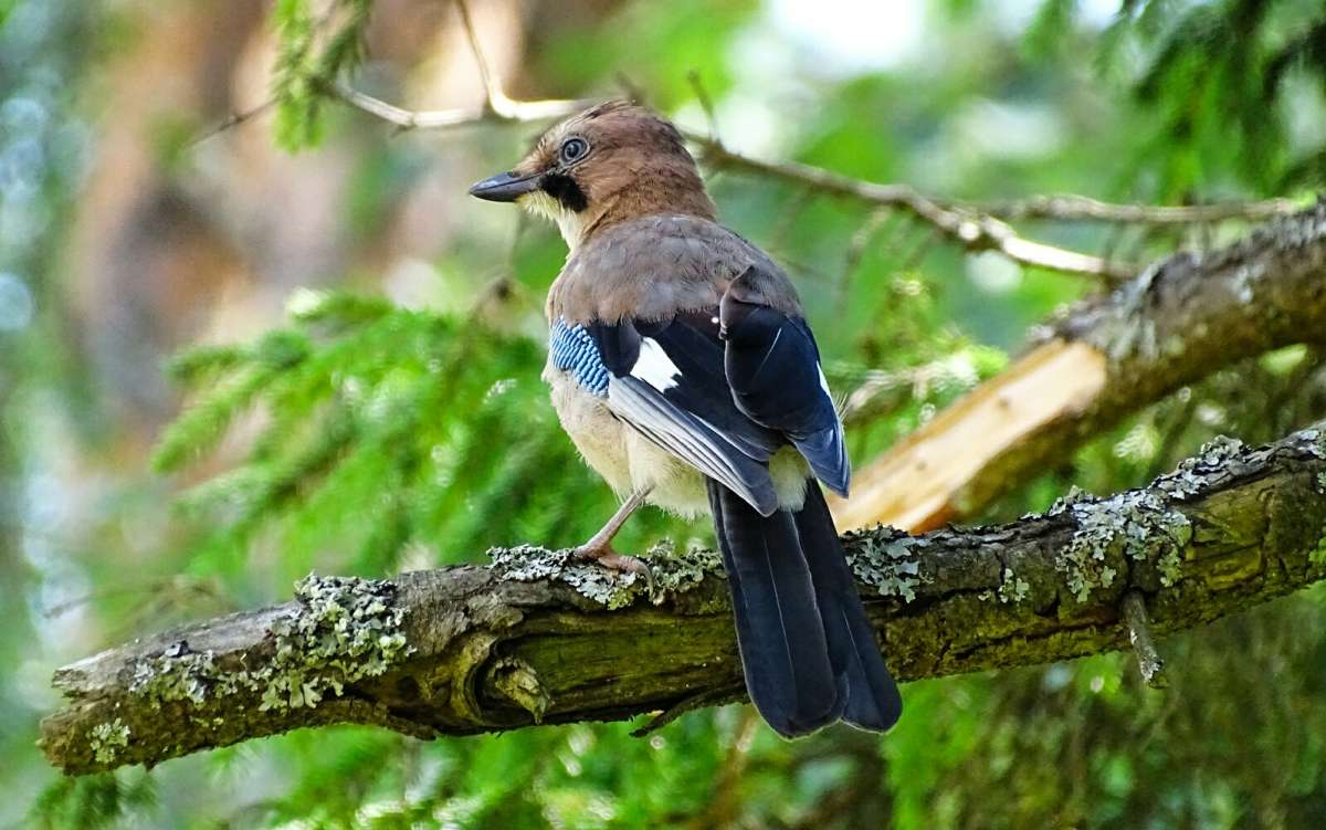 ��������������� �����. ����� �������� �������� �� PhotoGeek.ru #�������� ���