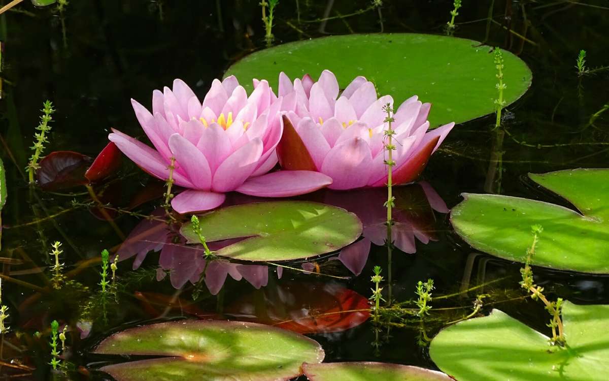 � ������. ����� �������� �������� �� PhotoGeek.ru #������ ��� �������