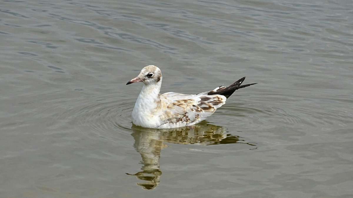 ����� ������ �����. ����� �������� �������� �� PhotoGeek.ru #�������� ���