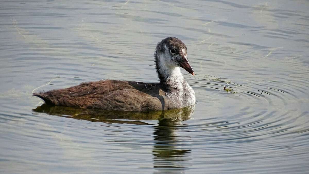 ����� ������. ����� �������� �������� �� PhotoGeek.ru #�������� ���