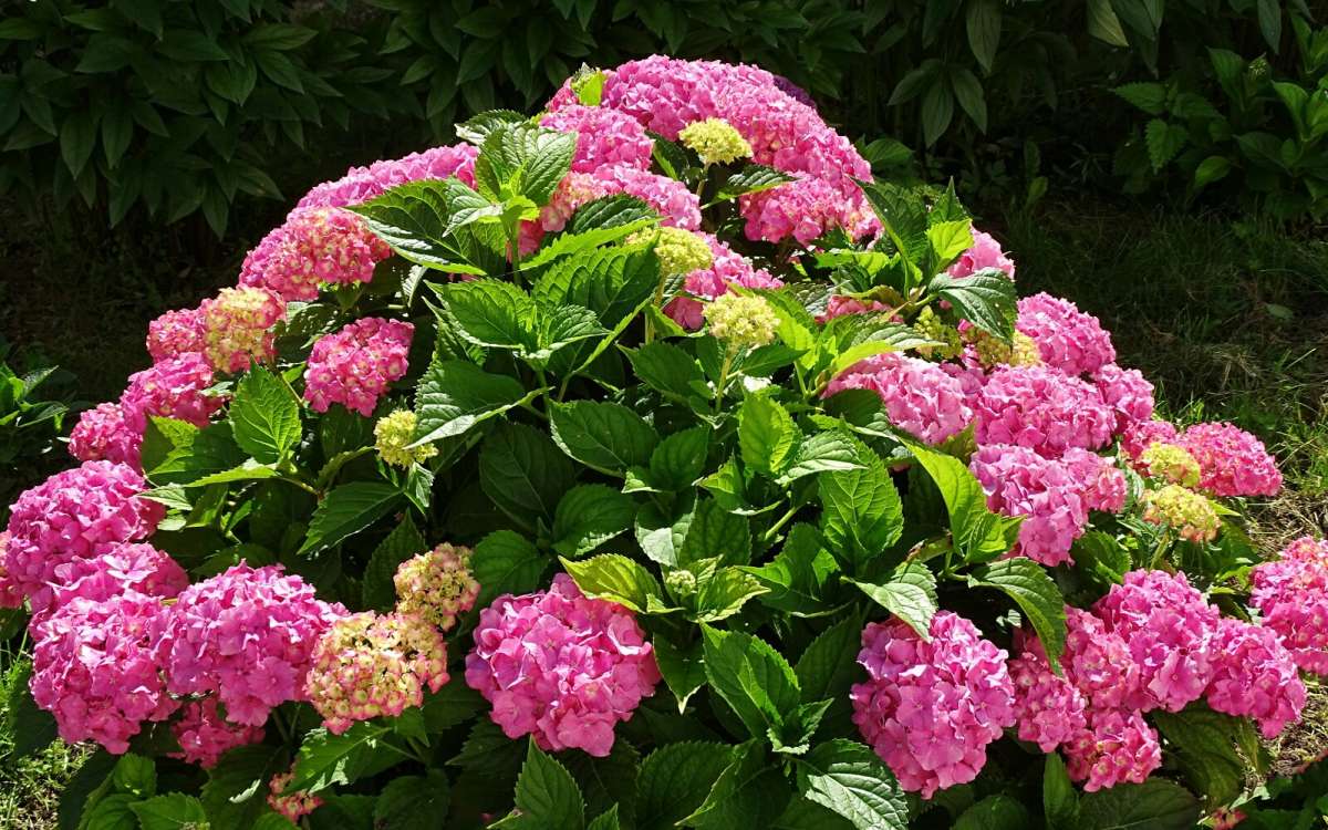 ��������� �����. ����� �������� �������� �� PhotoGeek.ru #����� #����� #������ ��� �������