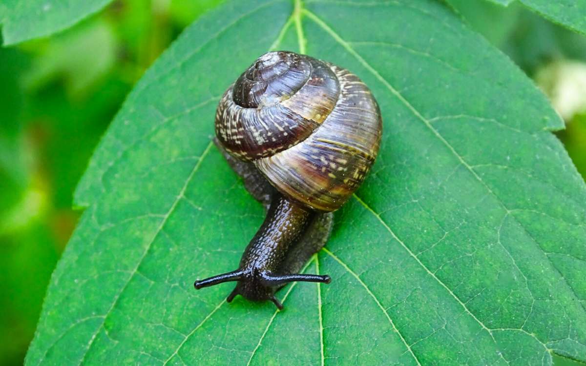 ����������� ������. ����� �������� �������� �� PhotoGeek.ru #����� #������ ��� �������