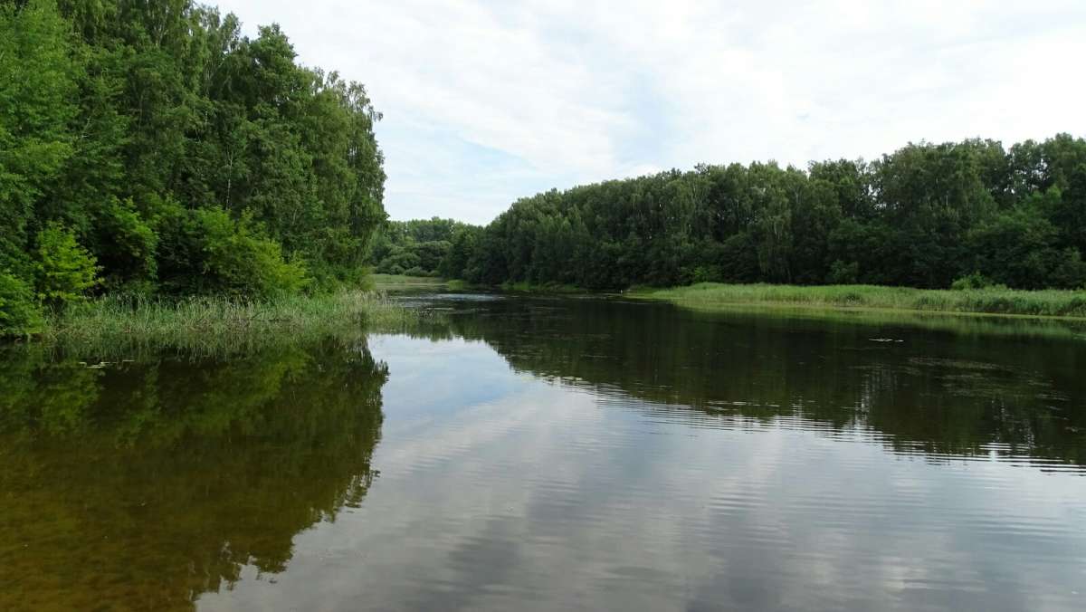 ��� ����. ����� �������� �������� �� PhotoGeek.ru #������ ��� �������