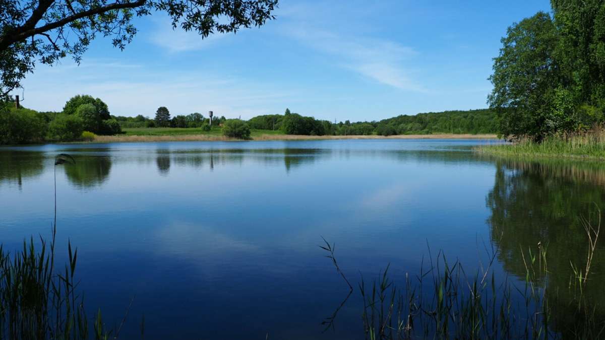 ������ ����������� ������. ����� �������� �������� �� PhotoGeek.ru #������ ��� �������