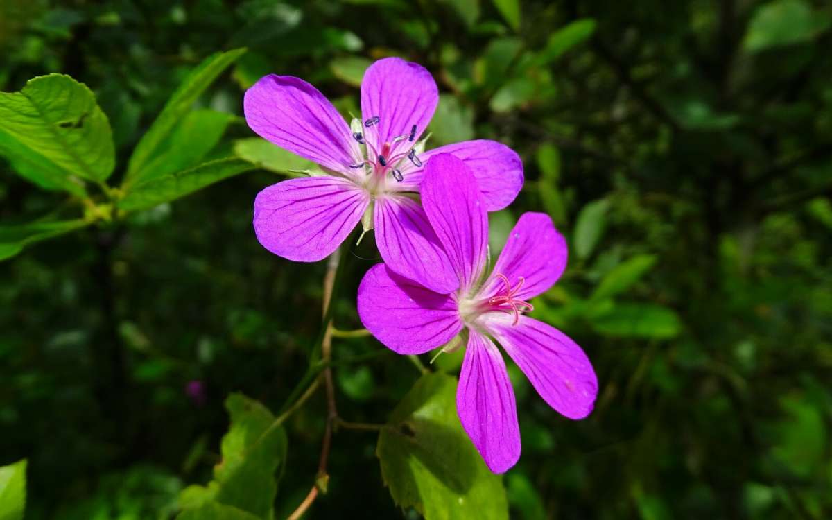 ������ �������. ����� �������� �������� �� PhotoGeek.ru #����� #������ ��� �������