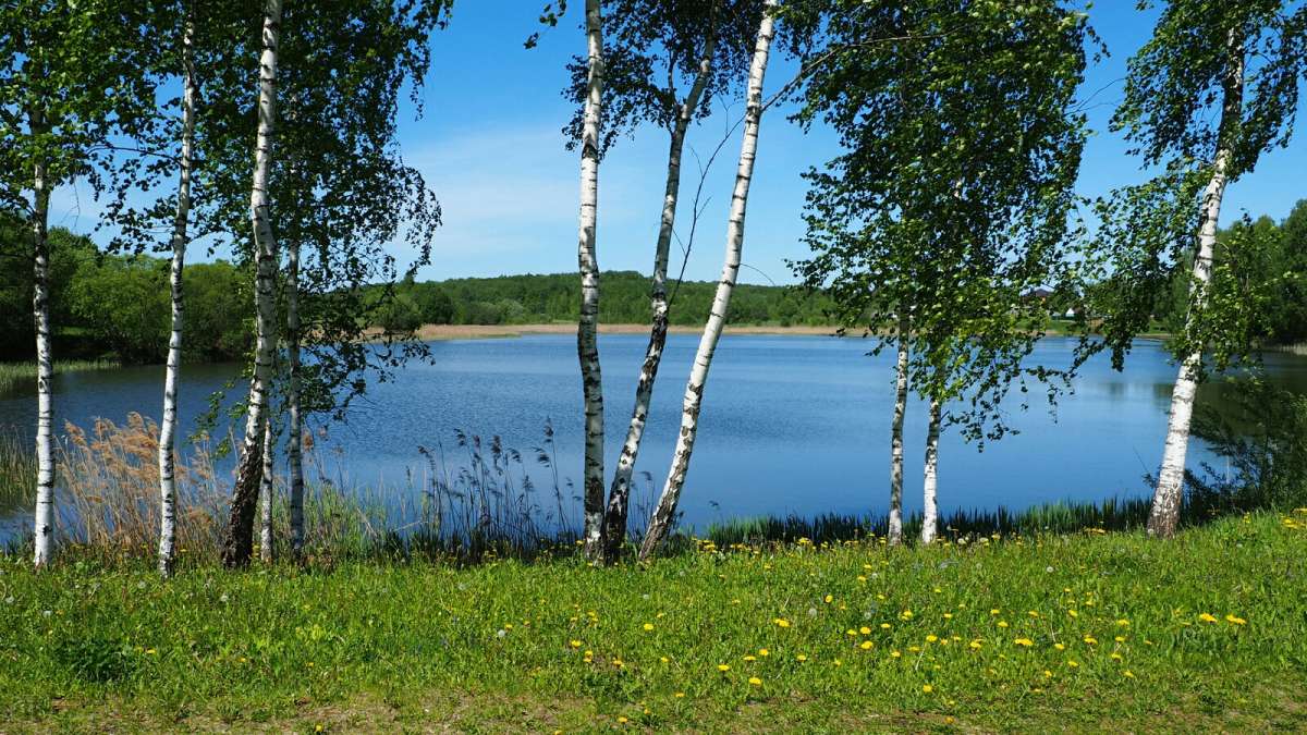 ��� ���������� ����. ����� �������� �������� �� PhotoGeek.ru #������ ��� �������