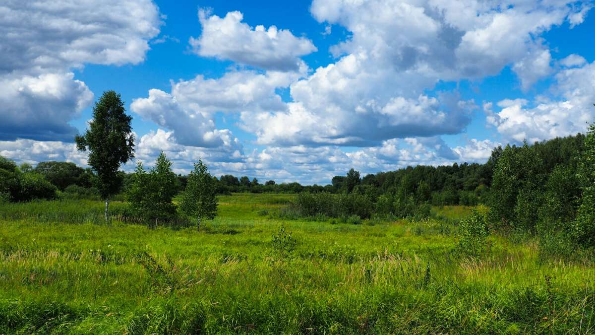 �������� ����������� ����. ����� �������� �������� �� PhotoGeek.ru #������ ��� �������