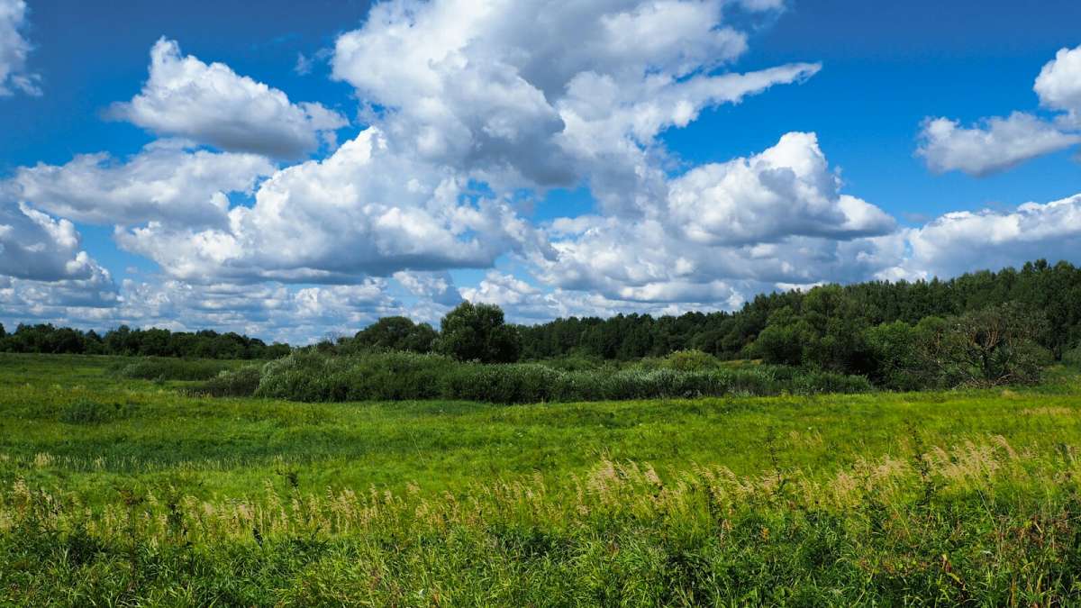 ��� ������. ����� �������� �������� �� PhotoGeek.ru #������ ��� �������