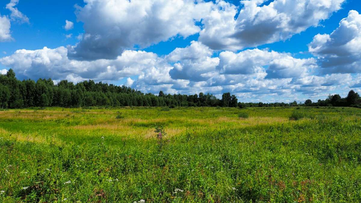 ��� ������. ����� �������� �������� �� PhotoGeek.ru #������ ��� �������