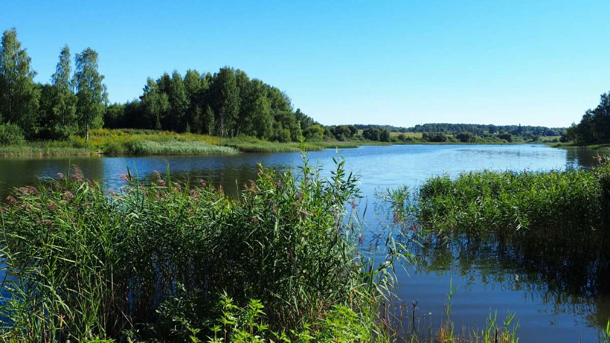 ���������� � �������. ����� �������� �������� �� PhotoGeek.ru #������ ��� �������