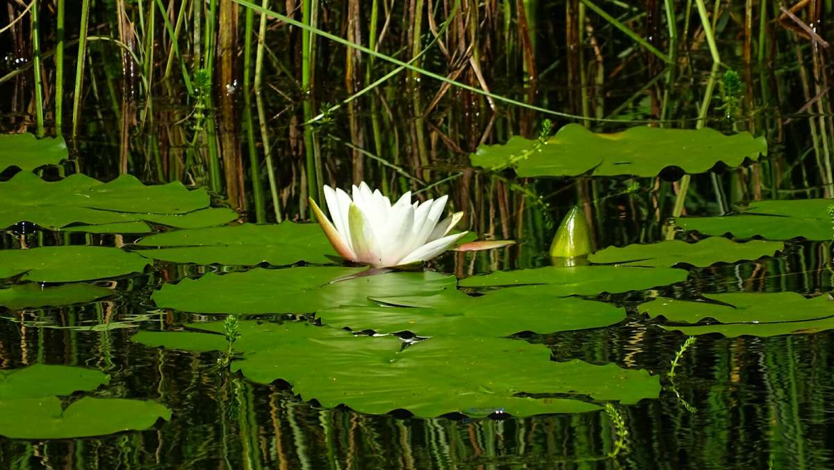 �����, ������� �����. ����� �������� �������� �� PhotoGeek.ru #������ ��� �������