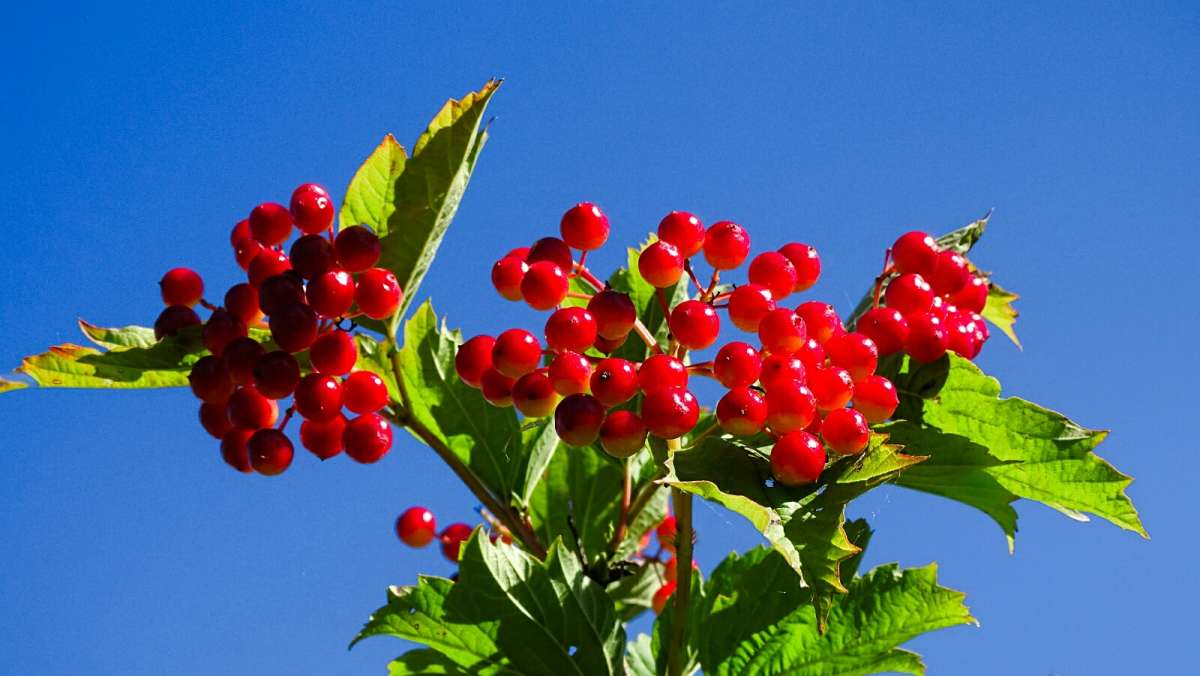 �������� �������. ����� �������� �������� �� PhotoGeek.ru #������ ��� �������