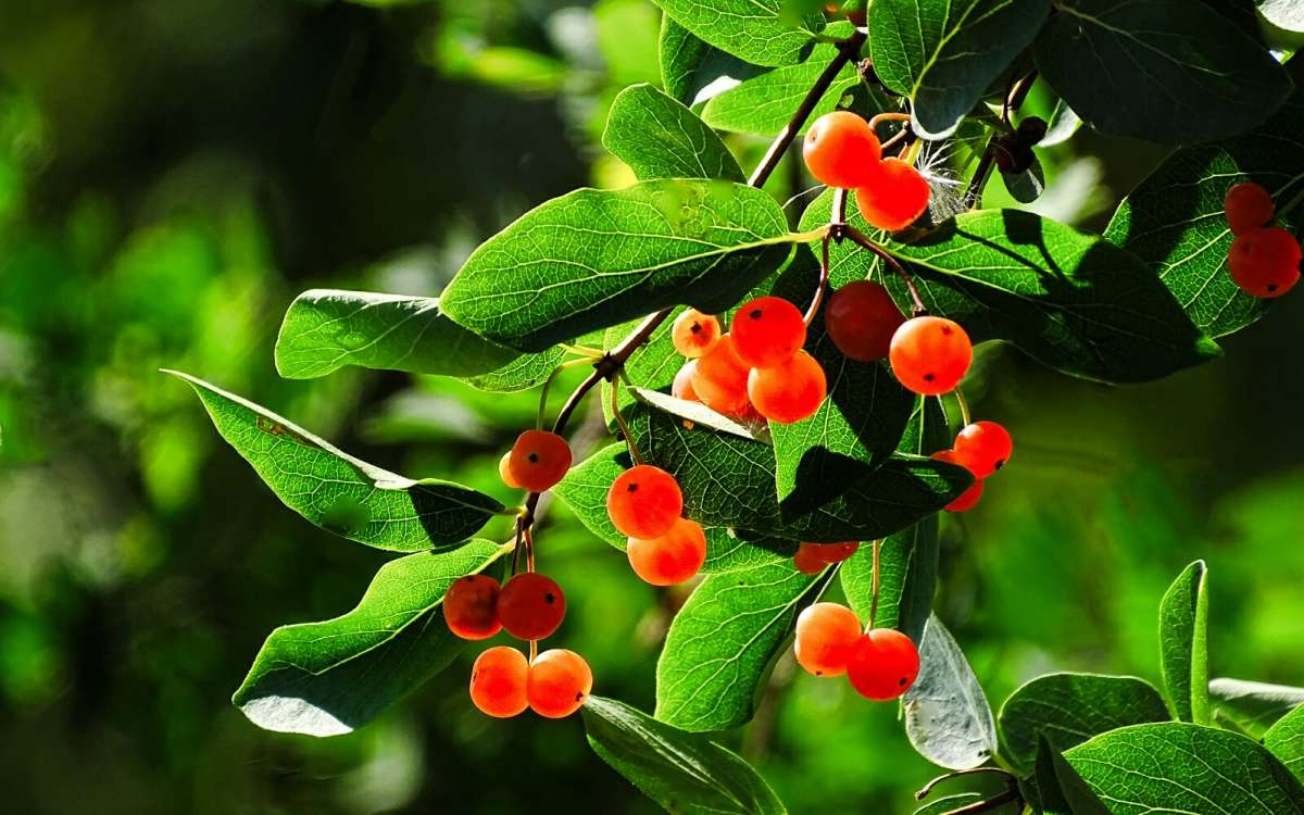 ���� - ������. ����� �������� �������� �� PhotoGeek.ru #������ ��� �������