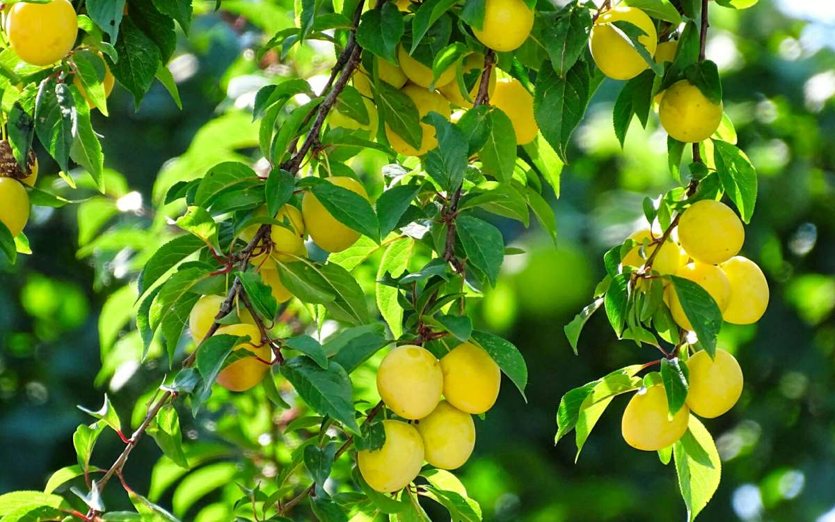 ��������� �����. ����� �������� �������� �� PhotoGeek.ru #������ ��� �������