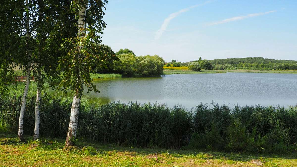 ���������� � �������. ����� �������� �������� �� PhotoGeek.ru #������ ��� �������