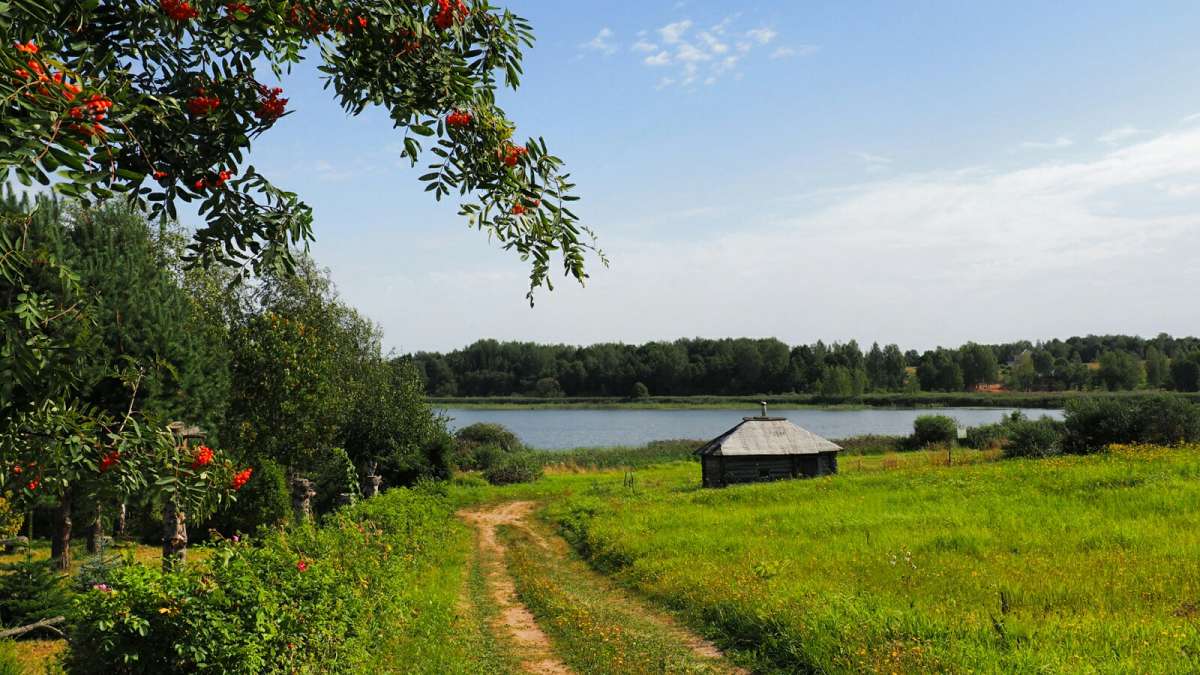 �� ������ ����. ����� �������� �������� �� PhotoGeek.ru #������ ��� �������