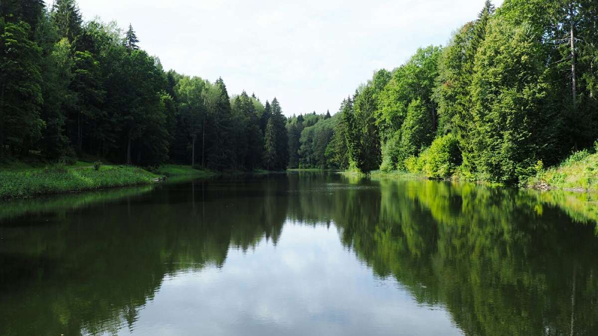 ���������� � ����� ����. ����� �������� �������� �� PhotoGeek.ru #������ ��� �������