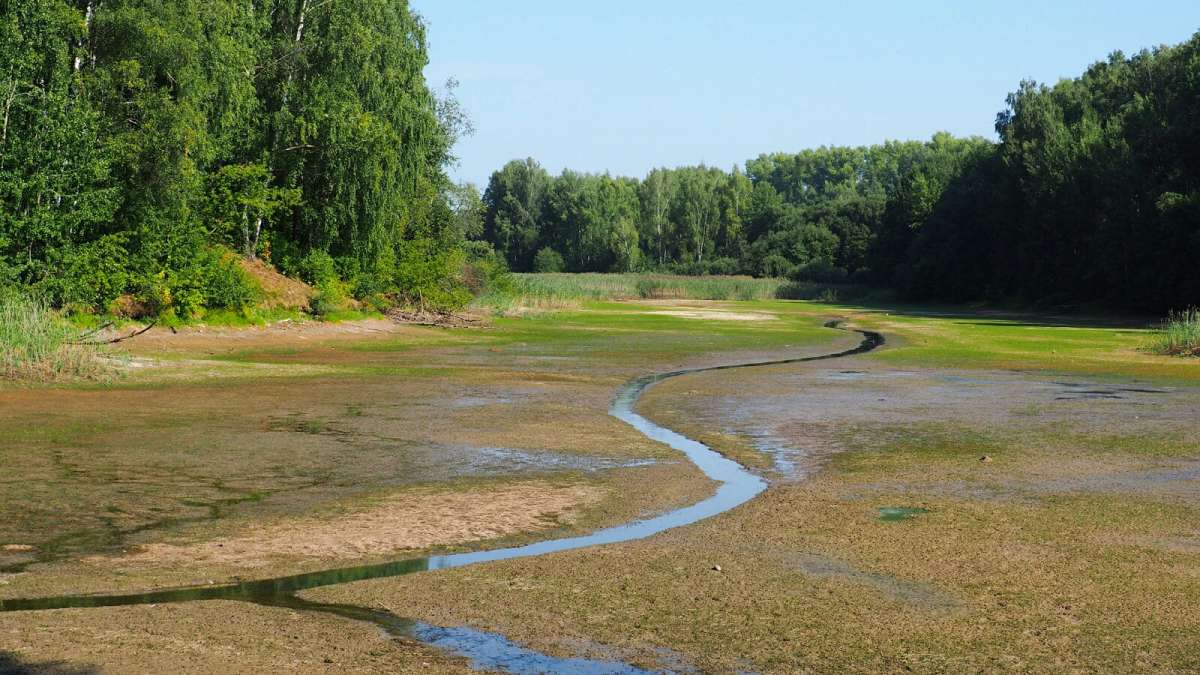 ����� ���� ����� �������. ����� �������� �������� �� PhotoGeek.ru #������ ��� �������