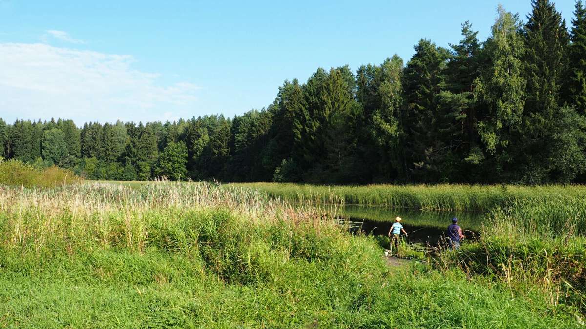 ���� � ����� �� �������. ����� �������� �������� �� PhotoGeek.ru #������ ��� �������