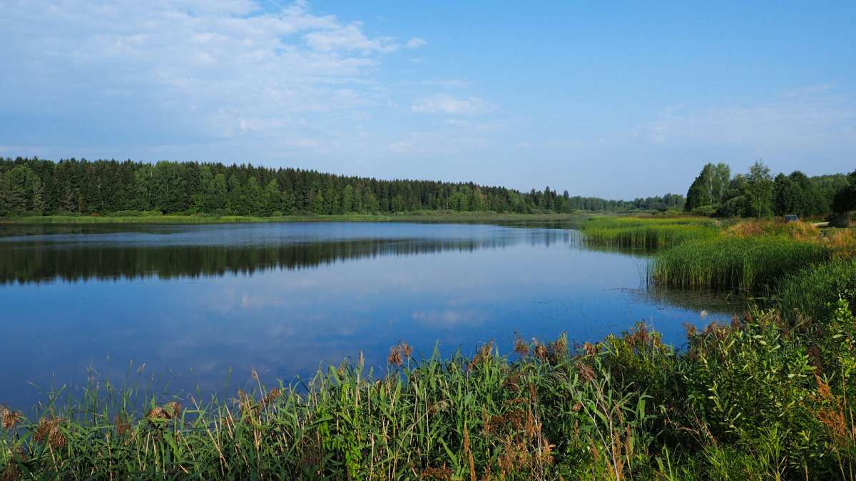 ���� ����������. ����� �������� �������� �� PhotoGeek.ru #������ ��� �������