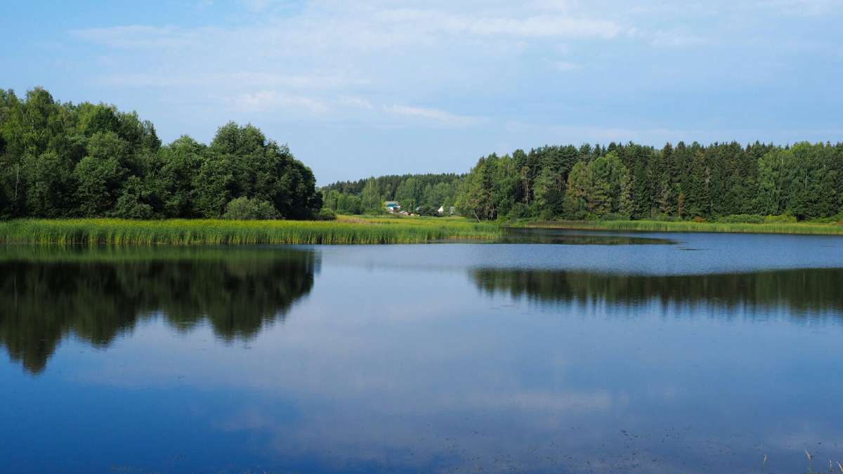 ��� ����������. ����� �������� �������� �� PhotoGeek.ru #������ ��� �������