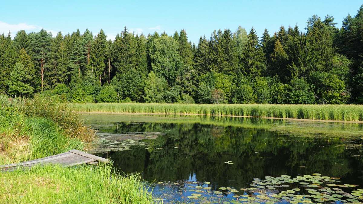 ��� ����. ����� �������� �������� �� PhotoGeek.ru #������ ��� �������