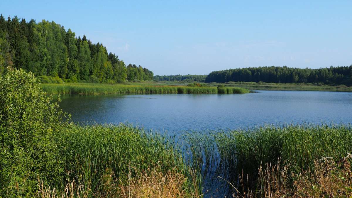 ���������� - ���� ���. ����� �������� �������� �� PhotoGeek.ru #������ ��� �������