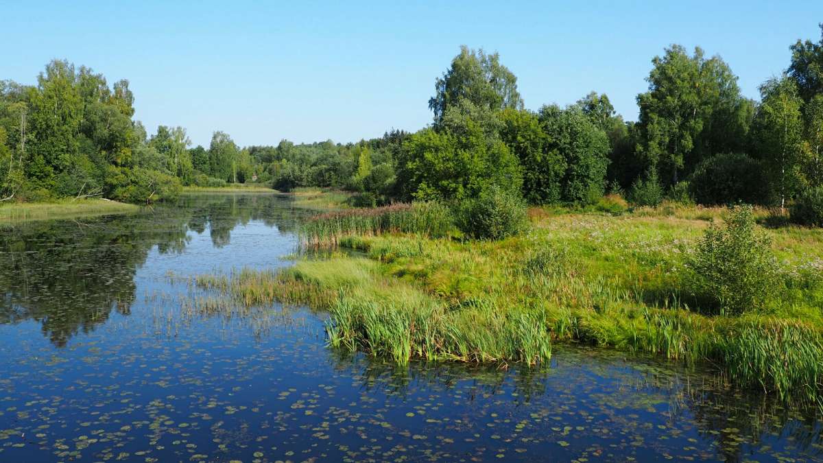 ��� ����������. ����� �������� �������� �� PhotoGeek.ru #������ ��� �������