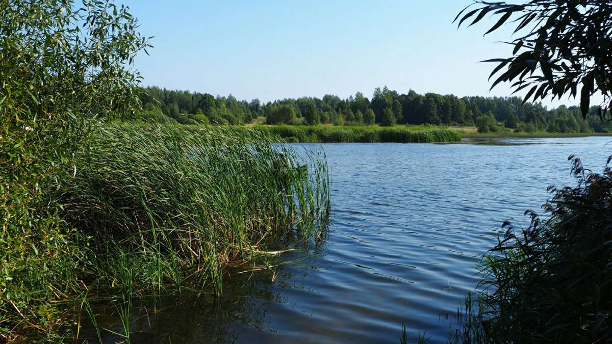 ��� ����. ����� �������� �������� �� PhotoGeek.ru #������ ��� �������