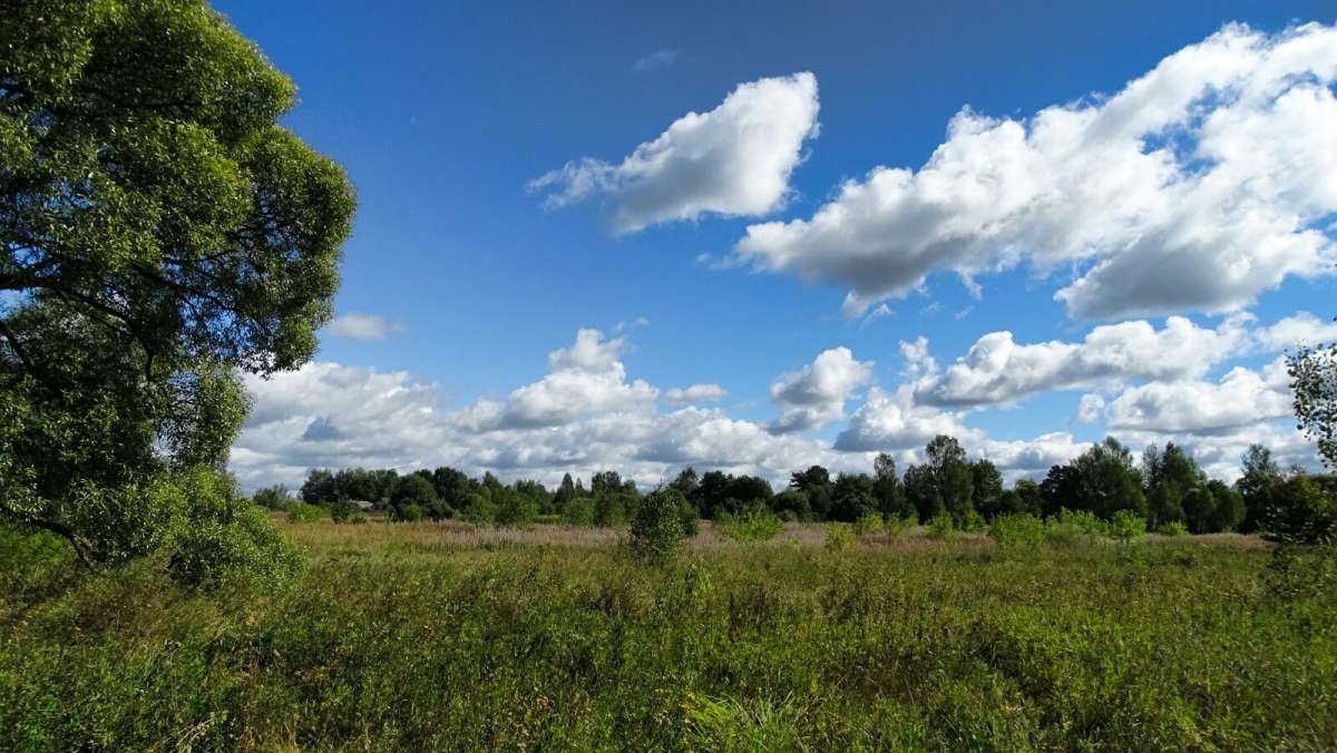 ������ ����� �� ����������. ����� �������� �������� �� PhotoGeek.ru #������ ��� �������