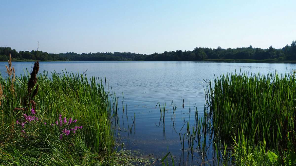 ��� ����. ����� �������� �������� �� PhotoGeek.ru #������ ��� �������