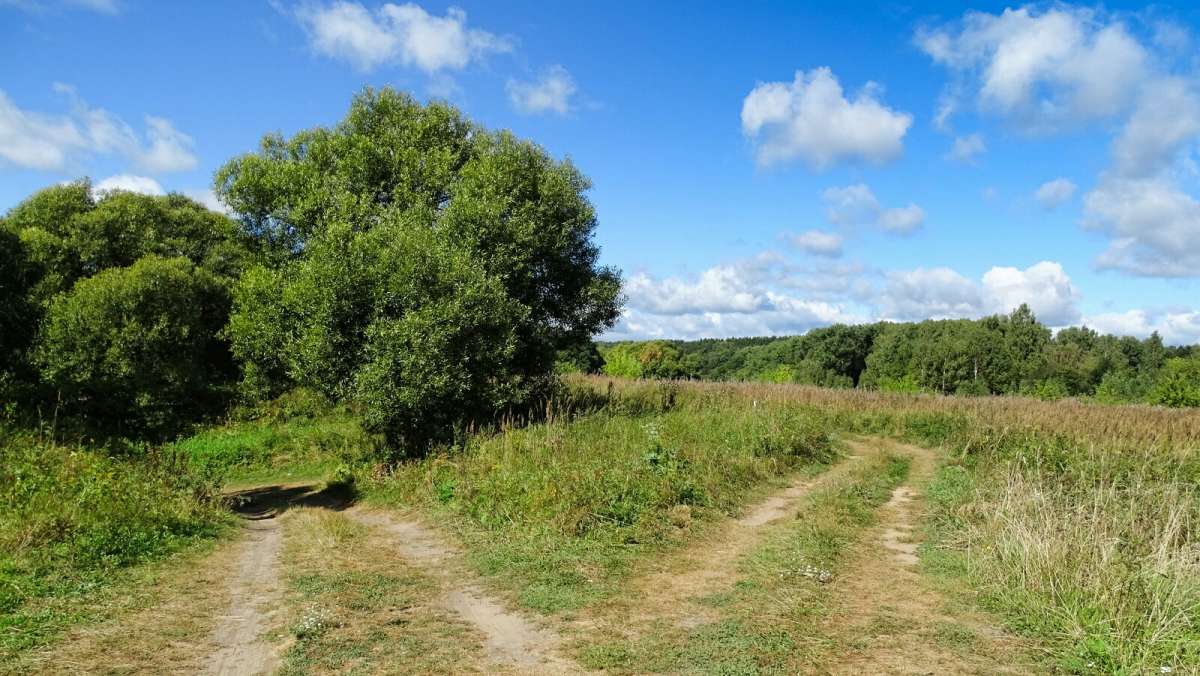 � �������� ���� �����. ����� �������� �������� �� PhotoGeek.ru #������ ��� �������