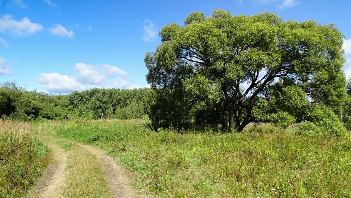 ������ - ����. ����� �������� �������� �� PhotoGeek.ru #������ ��� �������