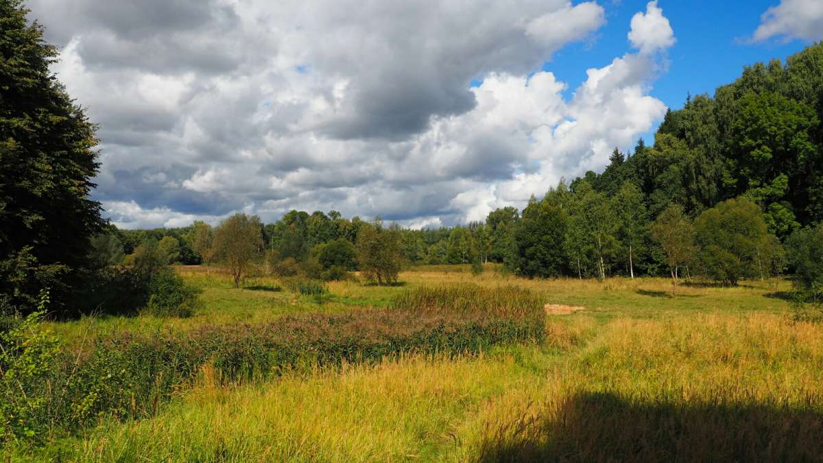 ���������� �����. ����� �������� �������� �� PhotoGeek.ru #������ ��� �������