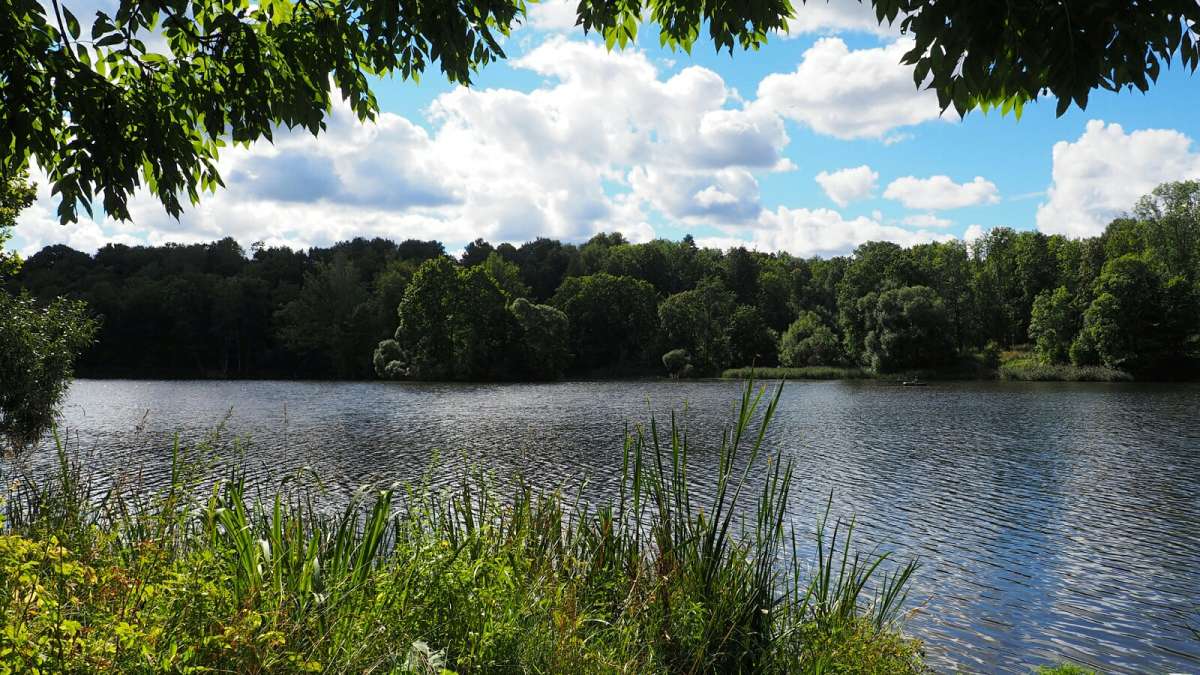 ��� ����������. ����� �������� �������� �� PhotoGeek.ru #������ ��� �������