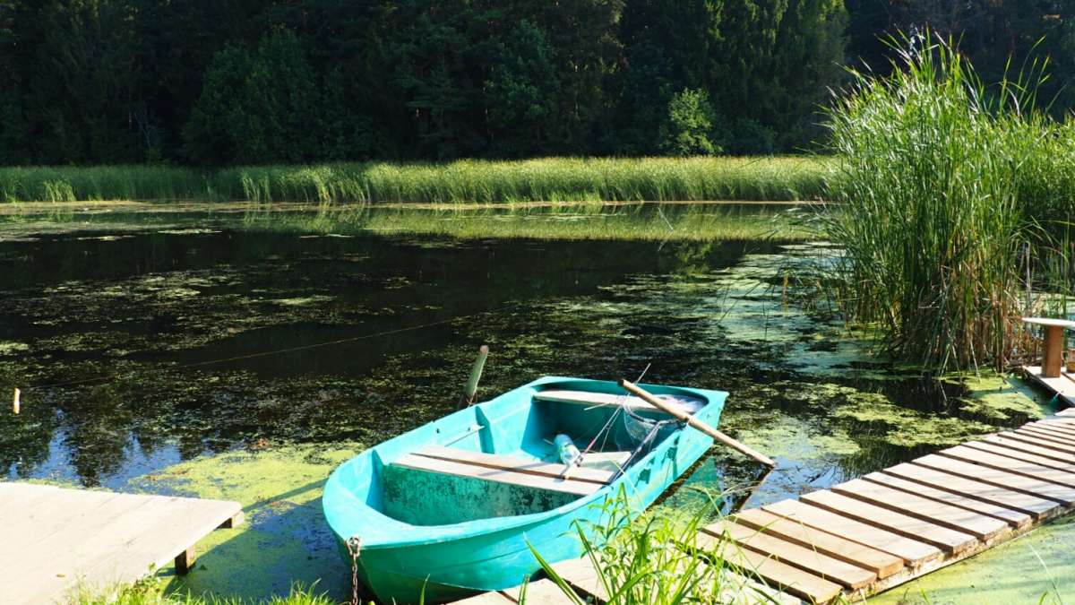 �������� �����. ����� �������� �������� �� PhotoGeek.ru #������ ��� �������