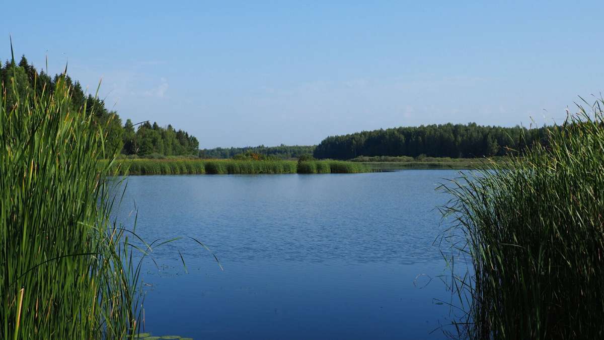 ���� ����������. ����� �������� �������� �� PhotoGeek.ru #������ ��� �������