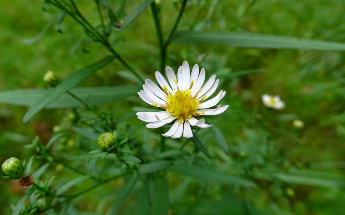 ������ ����� ��������. ����� �������� �������� �� PhotoGeek.ru #������ ��� �������