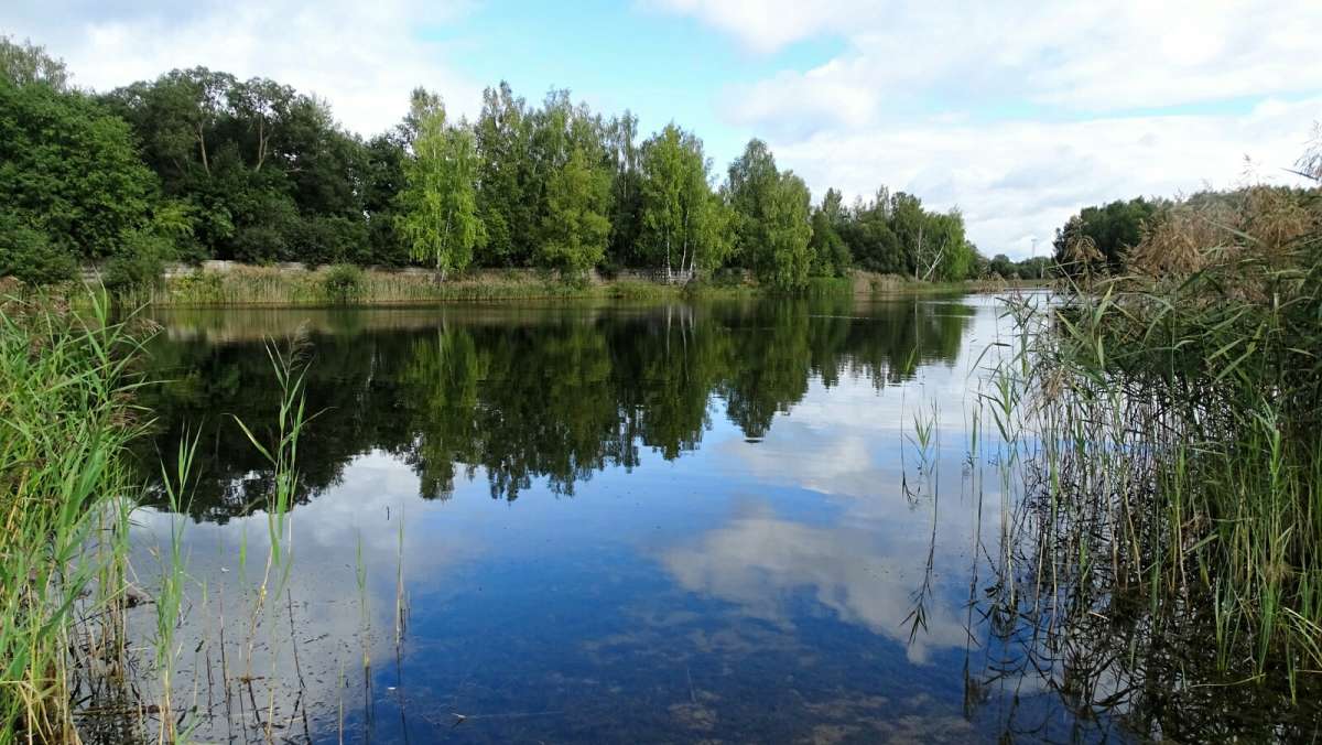 ������ �����. ����� �������� �������� �� PhotoGeek.ru #������ ��� �������