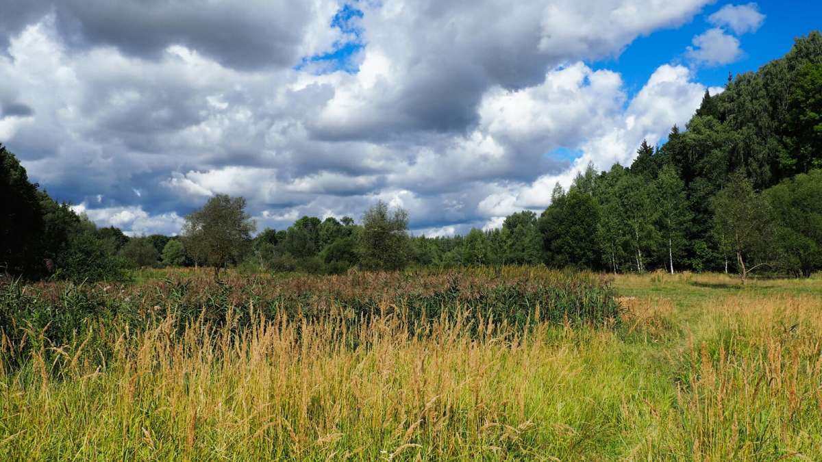 ������ ��������. ����� �������� �������� �� PhotoGeek.ru #������ ��� �������