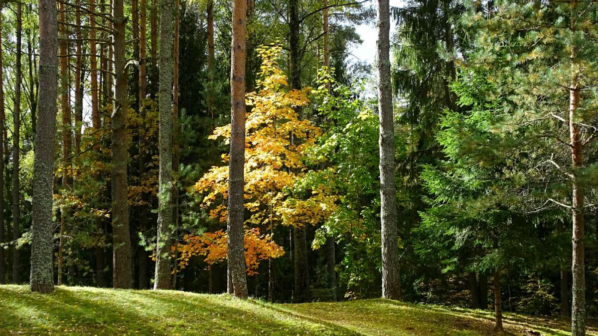 ������� ����� ����������. ����� �������� �������� �� PhotoGeek.ru #������ ��� �������