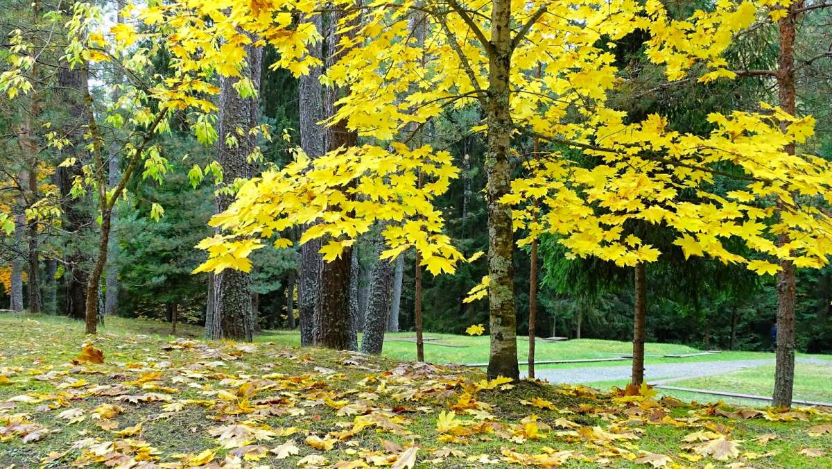 ������� ����� ����������. ����� �������� �������� �� PhotoGeek.ru #������ ��� �������