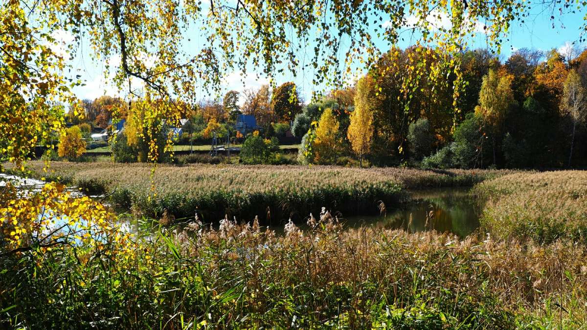 �������� ���������� �����. ����� �������� �������� �� PhotoGeek.ru #������ ��� �������